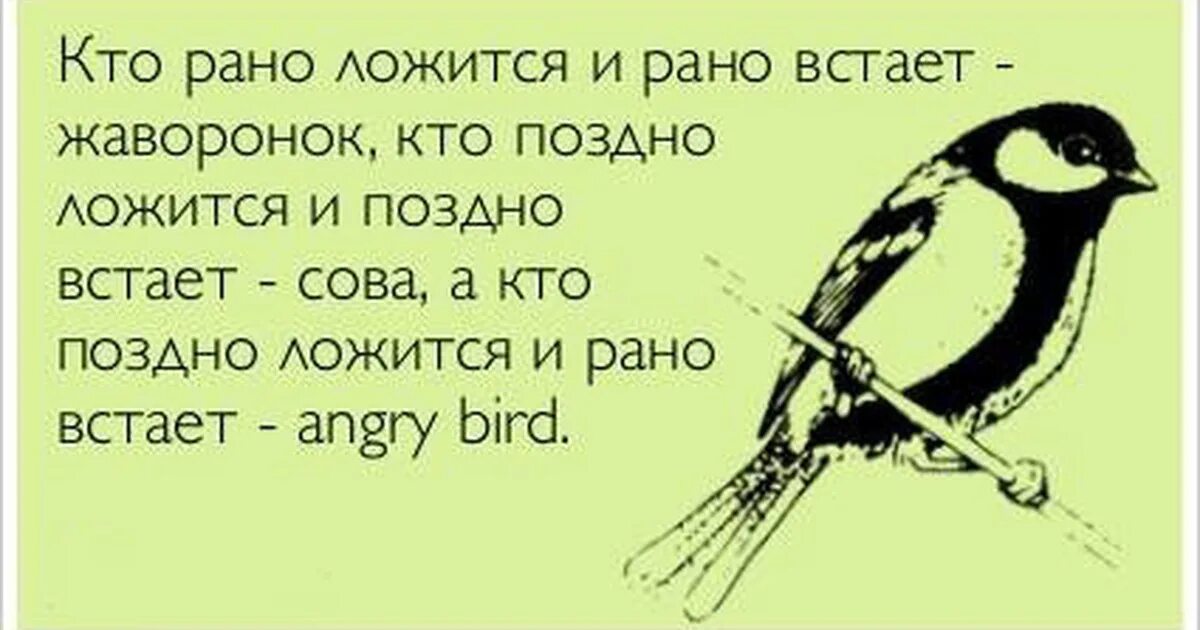 Сова и Жаворонок юмор. Жаворонок рано встает и рано ложится. Шутки про сову и жаворонка. Шутки про сов и Жаворонков. Я тысячу слов готов перевернуть
