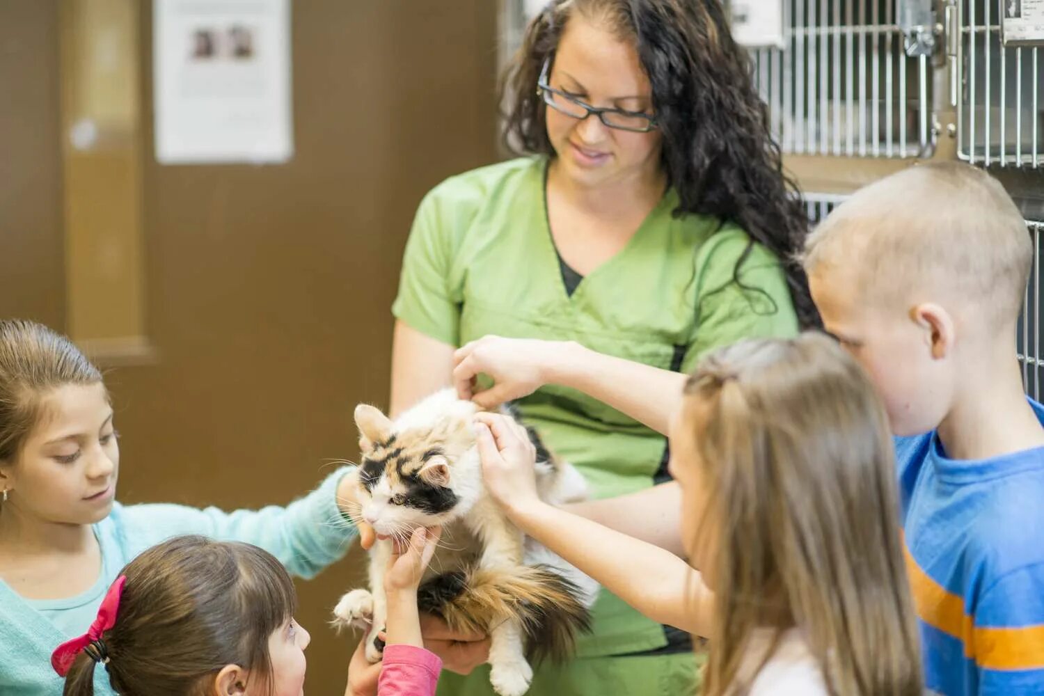 Volunteering at an animal shelter. Женщина волонтер животные. Volunteer at an animal Shelter. Volunteering with animals. A Group of Volunteers at a Pet Shelter..