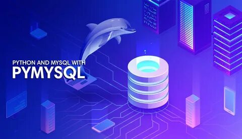 Python mysql