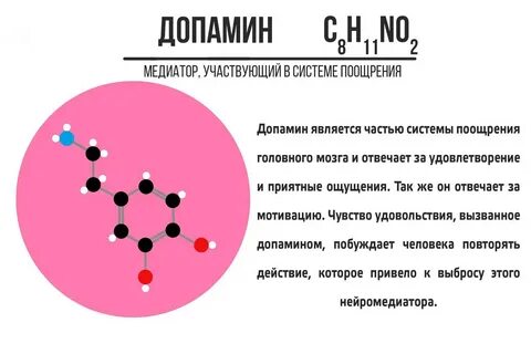 Система примет участие