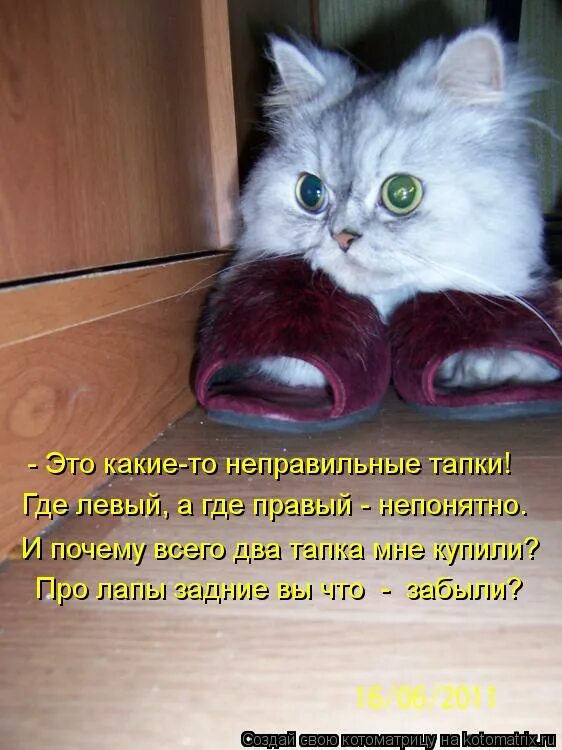 Я готов быть твоим. Подари мне любовь разбивая руки в кровь. Твоим будет только отражение в зеркале. Я готов целовать песок картинки. Пожалеть любимого.