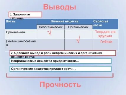 Придать свойства