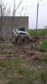 Берег кубани внии риса