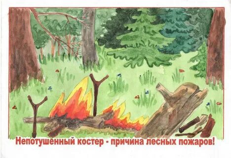 Пожарная безопасность в лесу обж 9 класс
