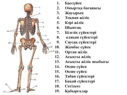 Выхино метро станциясындағы қыздар