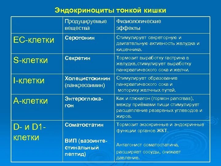 Эндокринные клетки тонкой кишки функции. Клетки тонкой кишки и их функции. Эндокринные клетки тонкого кишечника. Эндокриноциты тонкой кишки функции.