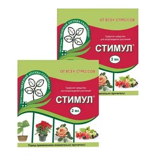 Стимул 2