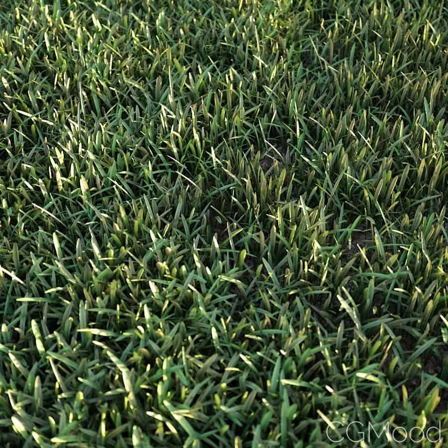 Трава д. Grass 3ds max. трава в 3ds max. газон в 3d max. реалистичная трава.