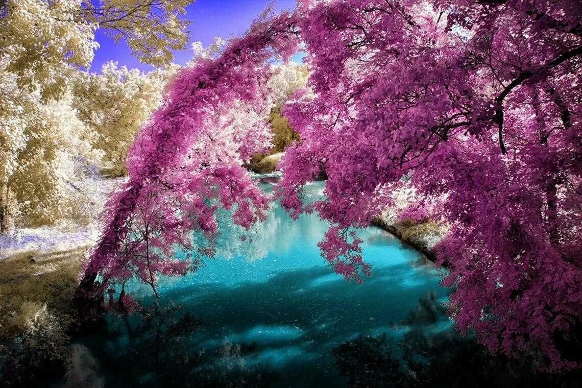 удивительные пейзажи. красивые пейзажи природы. трейси арм фьорд. необычные пейзажи. необычная природа.