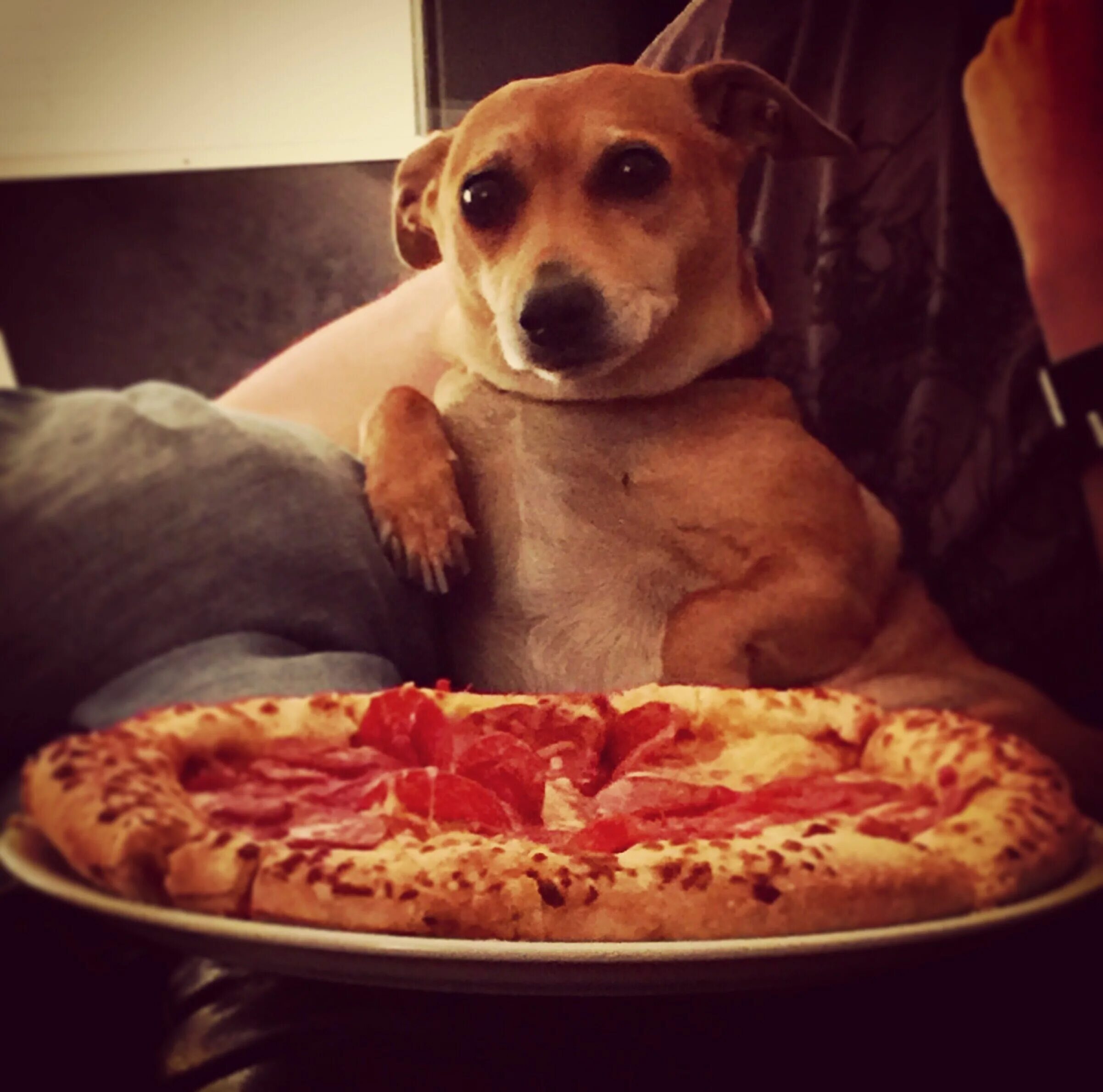Funny pizza