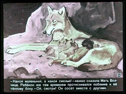 О каком событии рассказывается в произведении маугли
