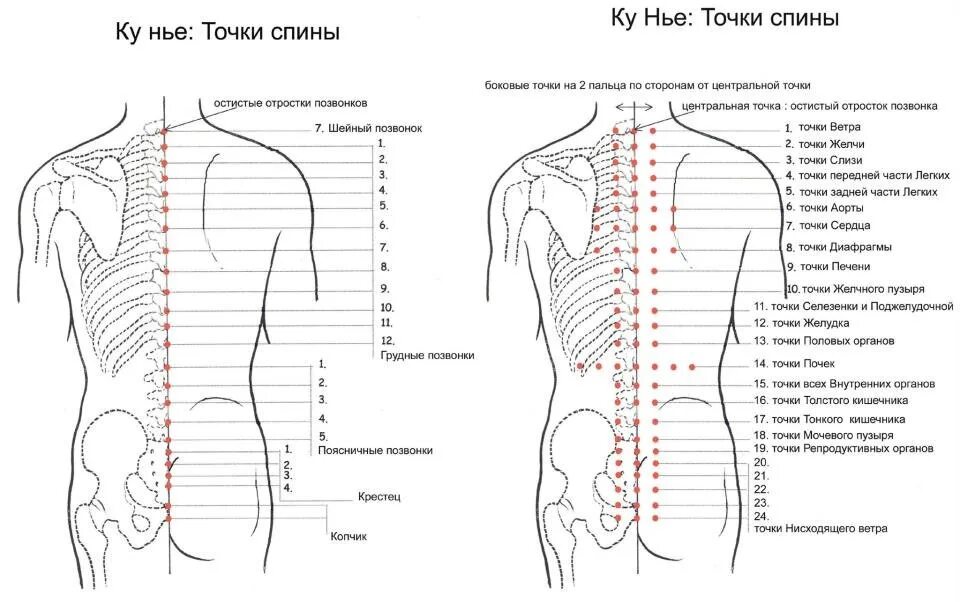 Массаж спины схема точки. Акупунктурные точки для расслабления мышц спины. Акупунктурные точки поясничный отдел схема. Паравертебральные точки грудного отдела позвоночника.