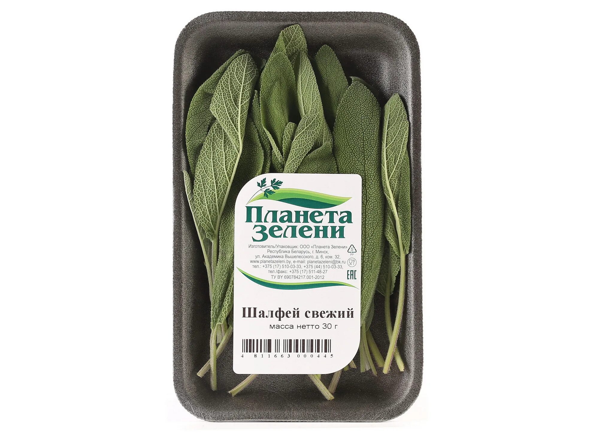 шалфей в кулинарии фото. шалфей сушеный (египет). шалфей бриз. шалфей пищевой свежий. шалфей свежий.