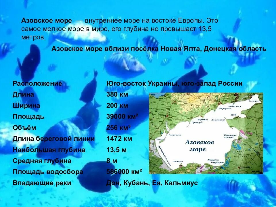 Красота Азовского моря описание. Азовское море презентация. Азовское море география. Азовское море краткая характеристика.