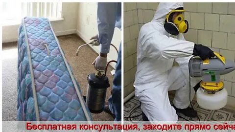 Вызвать сэс в квартиру