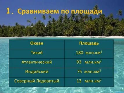 Самое маленькое по площади море тихого океана