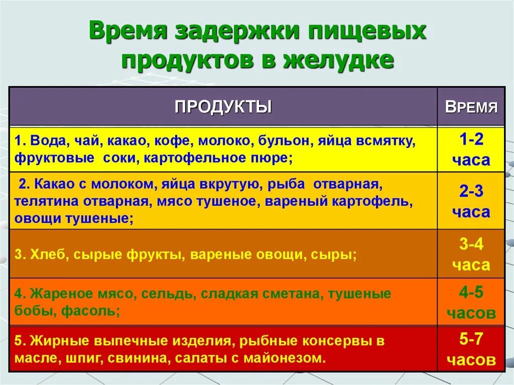 Нахождение пищи в желудке. Время нахождения пищи в желудке. Пища переваривается в желудке. Время усвоения пищи.