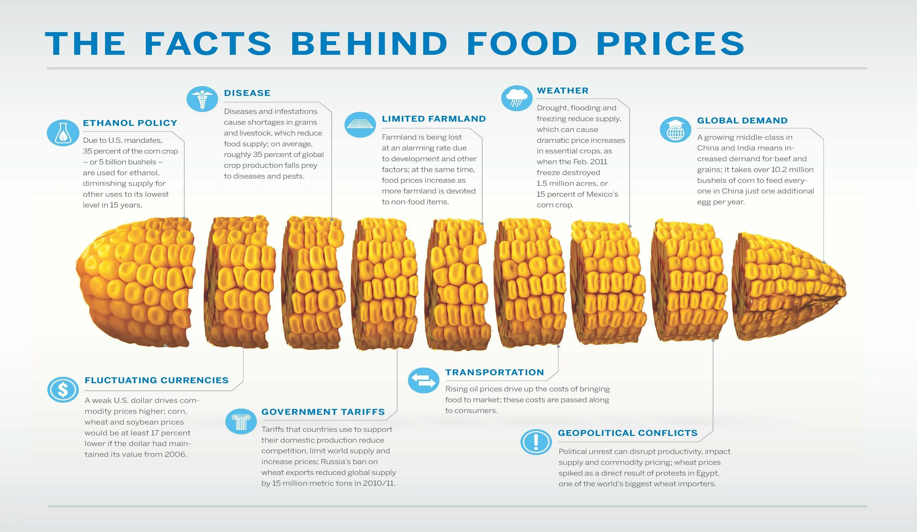 The high prices of food. Креативная инфографика. Инфографика кукуруза. Зерно инфографика. Инфографика пшеница.