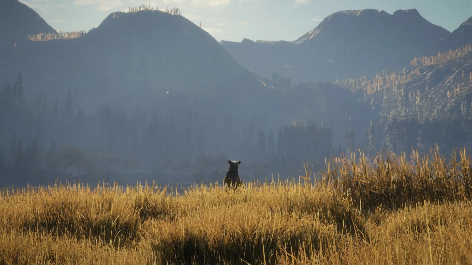 The hunter call of the wild мод. The hunter call of the wild обои. the hunter call of the wild обложка. the hunter call of the wild благородный олень. the hunter call of the wild gameplay.
