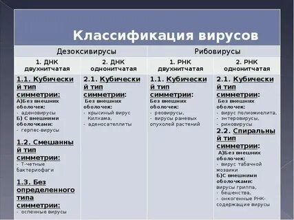 Особенности вирусов биология 9 класс