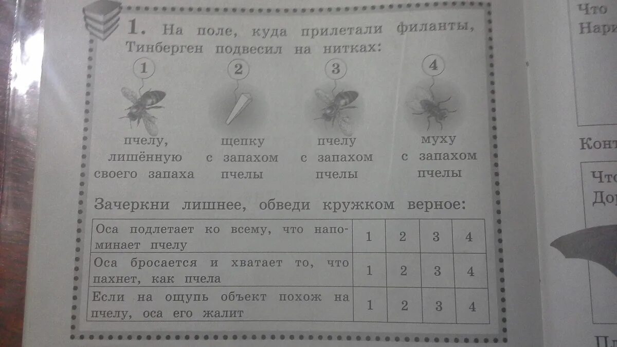 Пчелы окружающий мир 2 класс рабочая тетрадь. Замечательные умения животных 2 класс. на поле куда прилетали филанты тинберген подвесил на нитках зачеркни. окружающий мир 2 класс чудинова ответы. замечательные умения животных 2 класс окружающий мир.