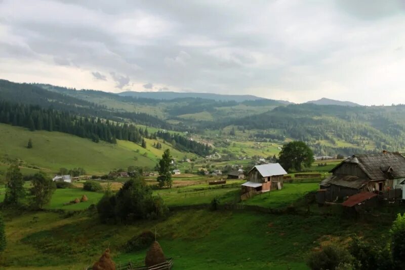 Буковина и галичина на карте украины. Буковина герцеговина. Северная буковина природа. Крупнейший украинский город буковины. Королевство галиции и лодомерии.