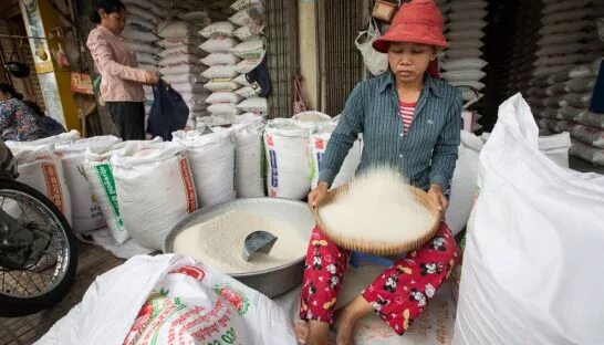 Промышленность тайланда. Камбоджа рис. Сельское хозяйство Камбоджи. Текстильная промышленность Таиланда.