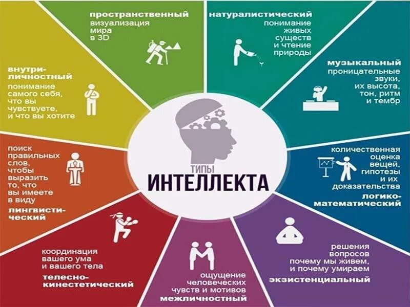 Как понять чем заниматься в жизни. Как понять чем заниматься в жизни