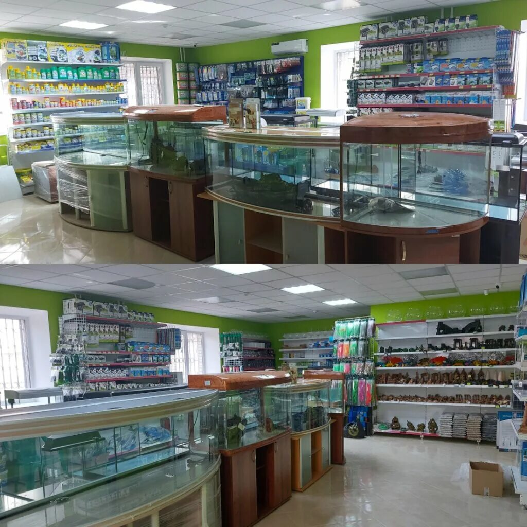 белая акула зоомагазин на ленина. магазин белая акула. белая акула зоомагазин на ленина. магазин белая акула. белая акула зоомагазин в ростове на дону.