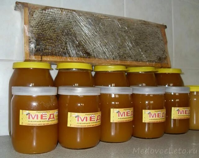 Сайт меда минск. Сайт меда минск. Myod минск. Сайт меда минск. Сайт меда минск.