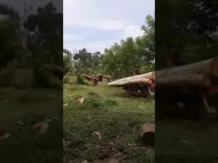 Матранга вывезли в лес видео