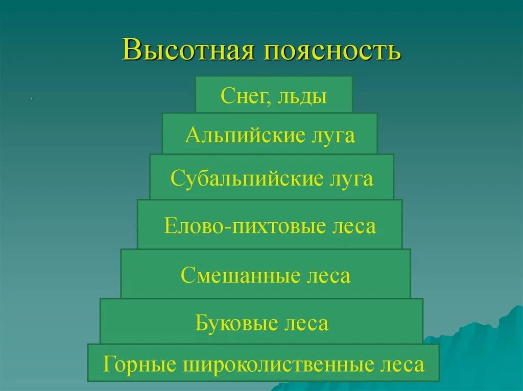 Высотная поясность. Высотная поясность животные. Области высокой поясности. Высокая поясность в Андах.