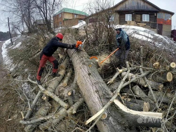 Спилить дерево на своем участке снт. Спил дерева. спиленные деревья и ветки на участке. расчистка участка спил деревьев. распил деревьев на участке.