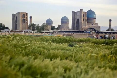 Афросиаб самарканд