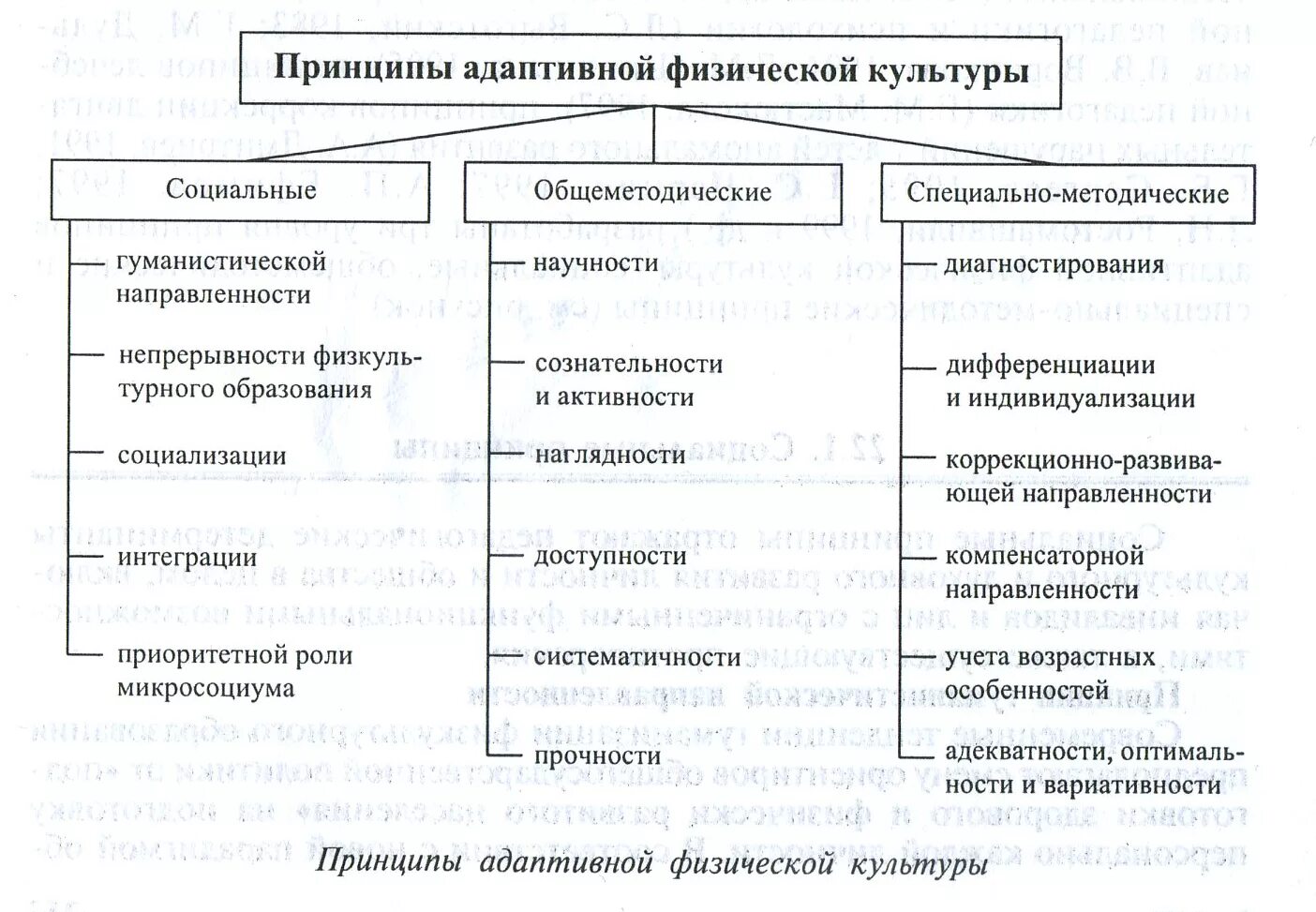Характеристика принципов физической культуры. Задачи, функции, принципы адаптивного физического воспитания. адаптивное физическое воспитание основные функции и принципы. функции и принципы адаптивного физического воспитания. основные формы организации адаптивной физической культуры (афк).