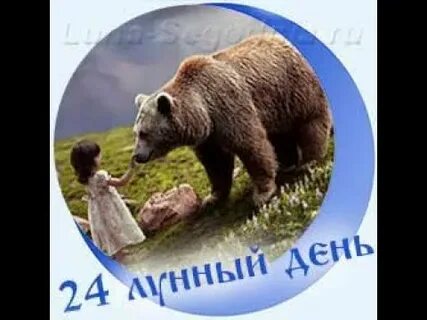 24 ноября лунный день