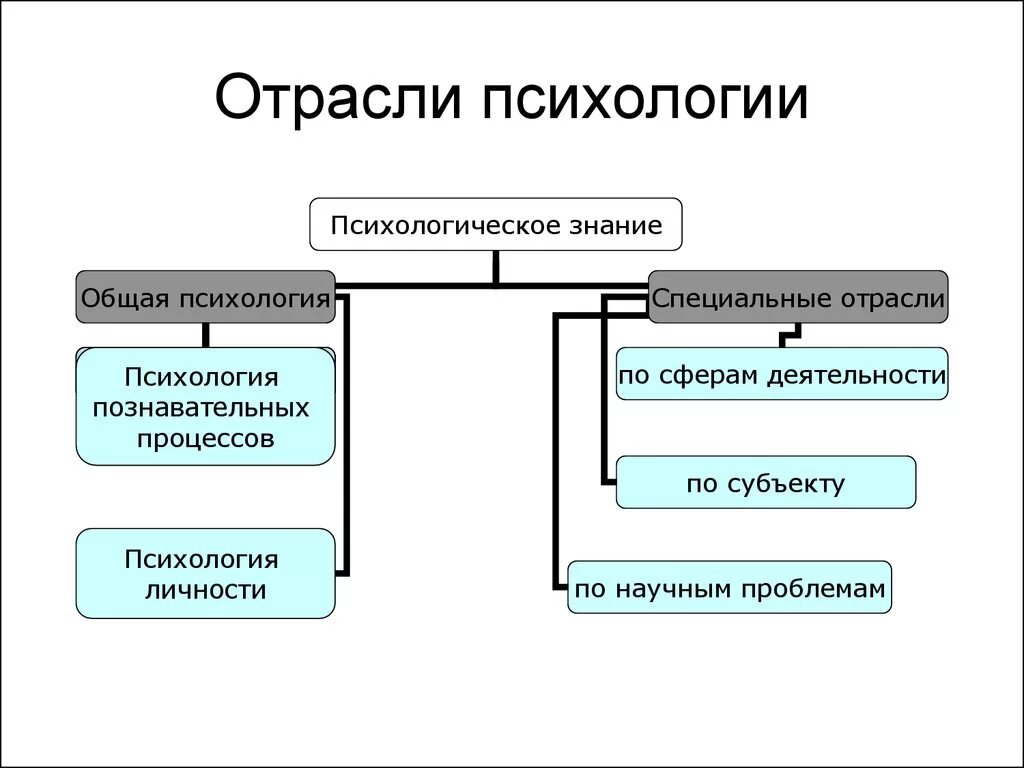 Отрасли изучения психологии. Перечислите отрасли современной психологии. Перечислите основные отрасли психологии:. Отрасли психологии фундаментальные и прикладные таблица. К отраслям психологии относятся.