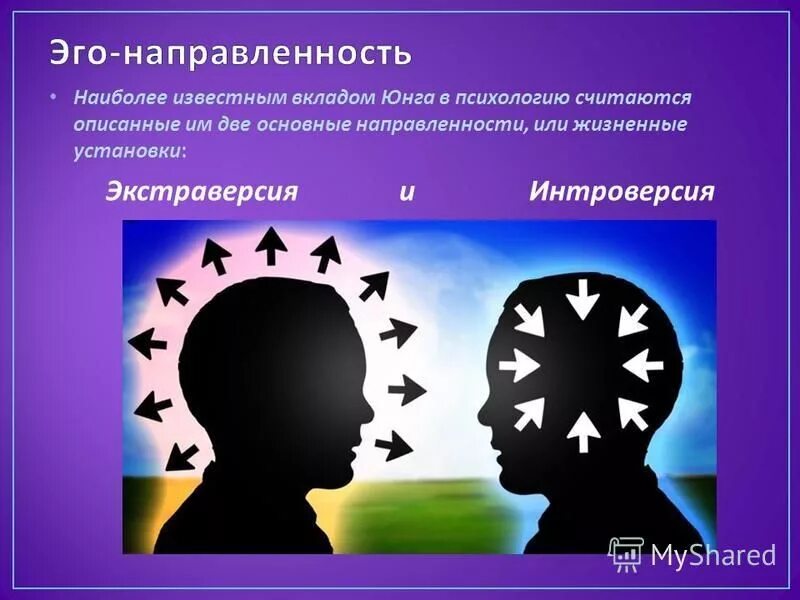 Интровертность и экстравертность