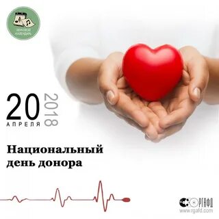День донора отчет