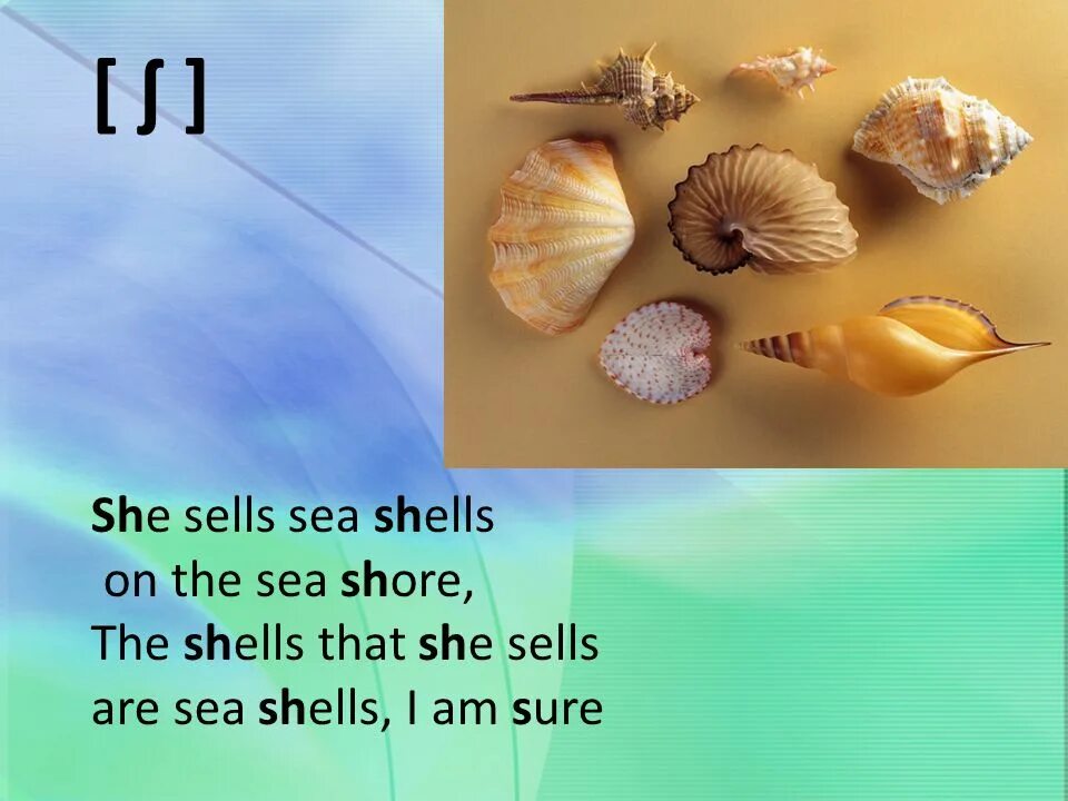 Шор переводы. Скороговорка she sells Seashells. She sells Seashells by the Sea скороговорка. Английская скороговорка she sells Seashells on the. Скороговорки на английском she sells Seashells.