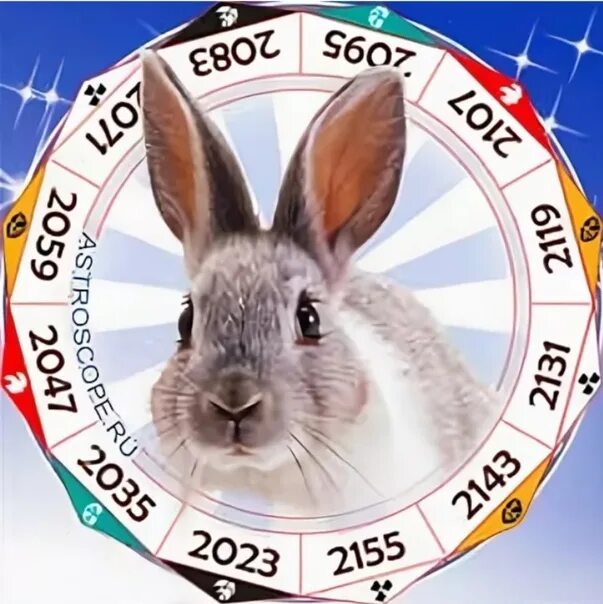 Год кролика 2023. 2023год Кокова животного. Какого жевотногогод2023. 2023 Год год кролика.