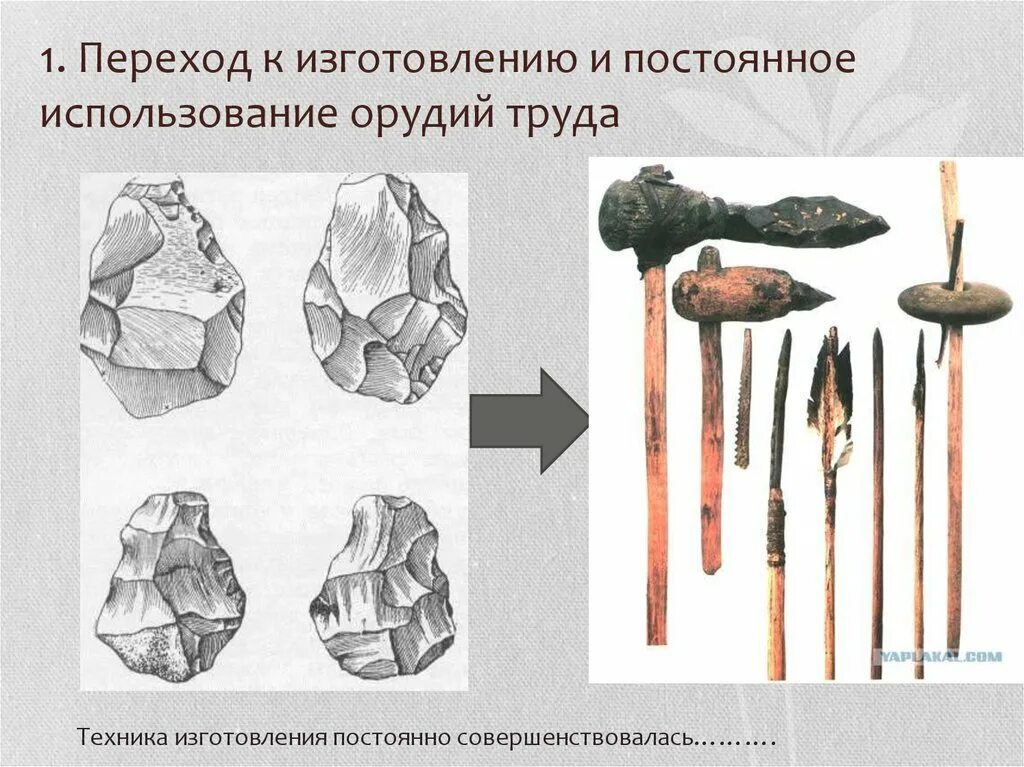 Последовательность использования предками человека орудий. Переход к изготовлению и постоянное использование орудий труда. Древние орудия труда. Орудия труда первобытного человека. Сложные орудия труда.