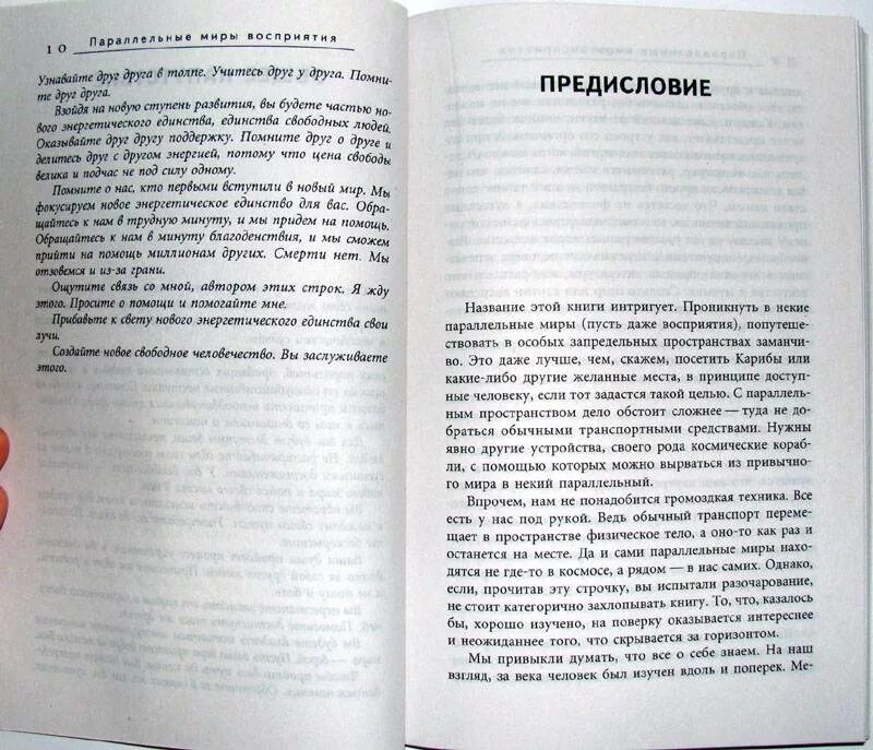 Параллельные миры книга. Книга параллельный мир. что значит параллельные миры. книга восприятия мира.