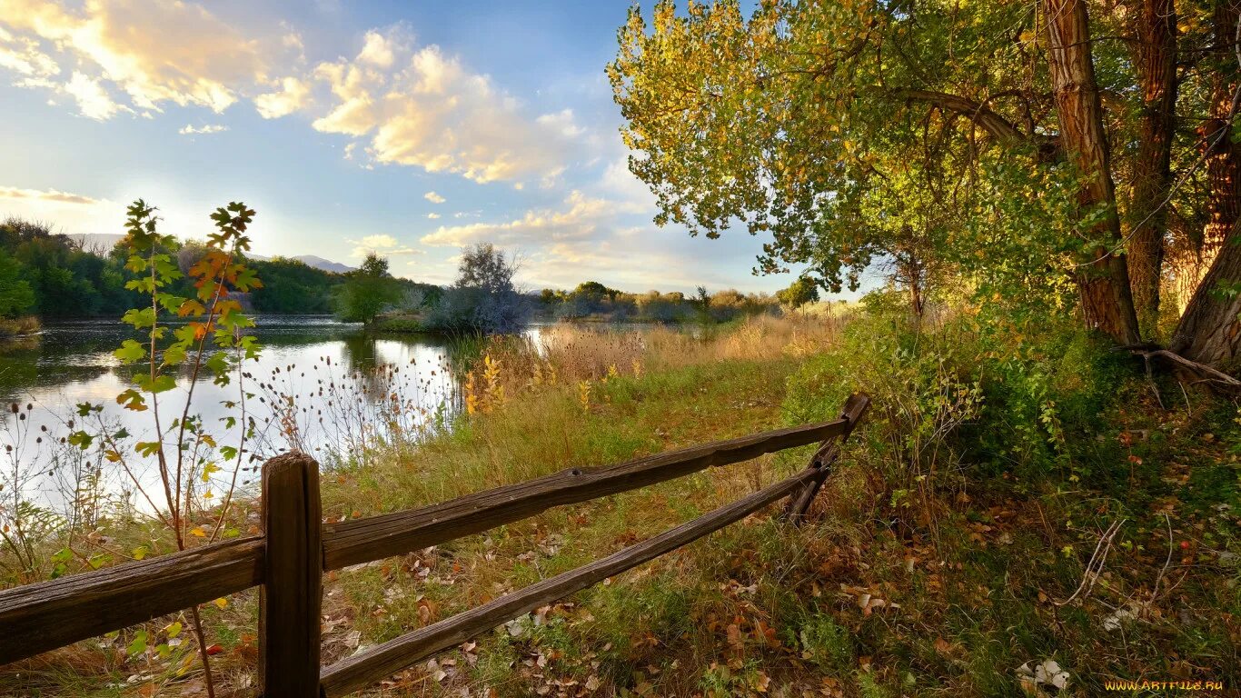 Река Вышний Пенская деревушка. Село природа река лес деревня. Деревня Околица Тверская область. Русская деревня с рекой Околица.