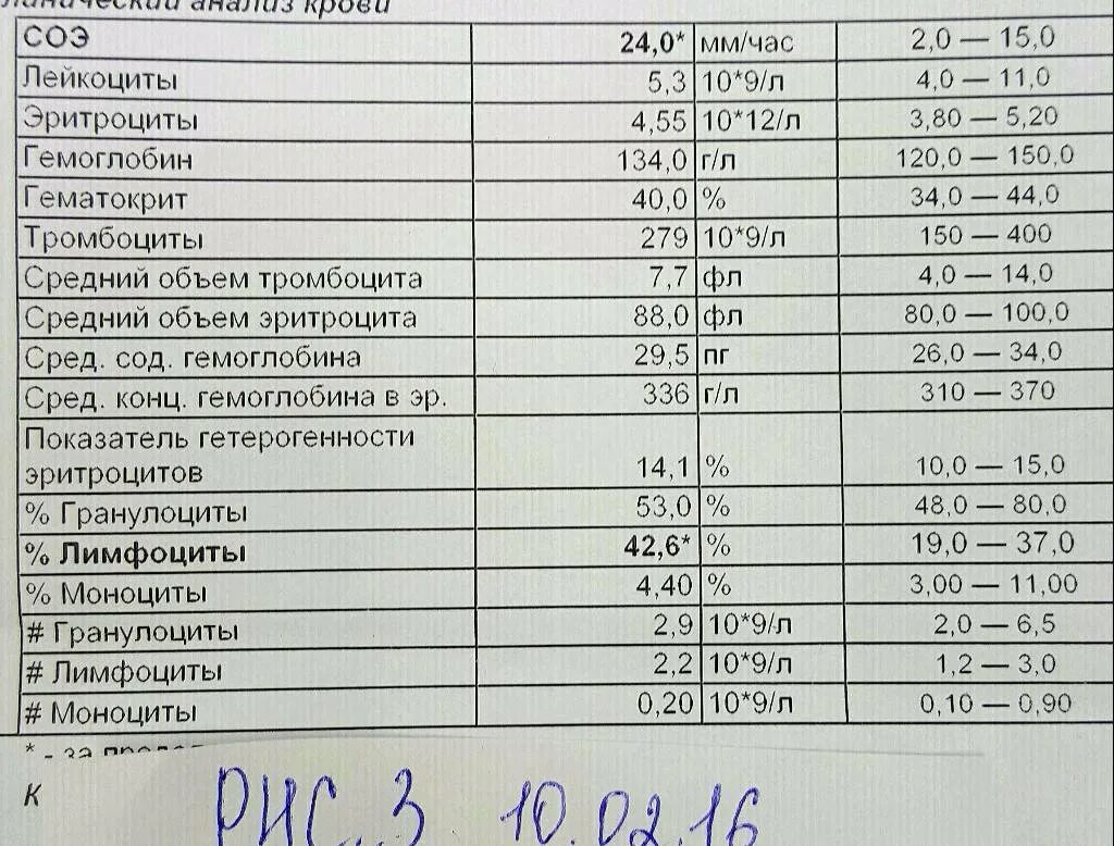 Эритроциты повышены у ребенка в моче причины. Лейкоциты норма 109/л. Лейкоциты у кошки норма. Превышены показатели лейкоцитов. Норма лейкоцитов у котенка.