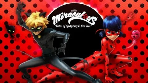 Lady bag and the cat noir