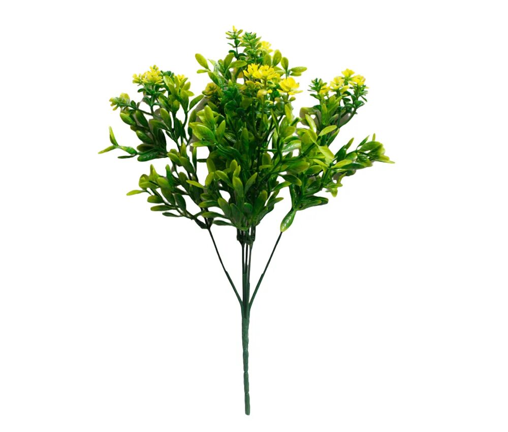 зелень писташ и фисташка. зелень писташ и фисташка. мирт зелень. фисташка для букетов. фисташка (писташ).