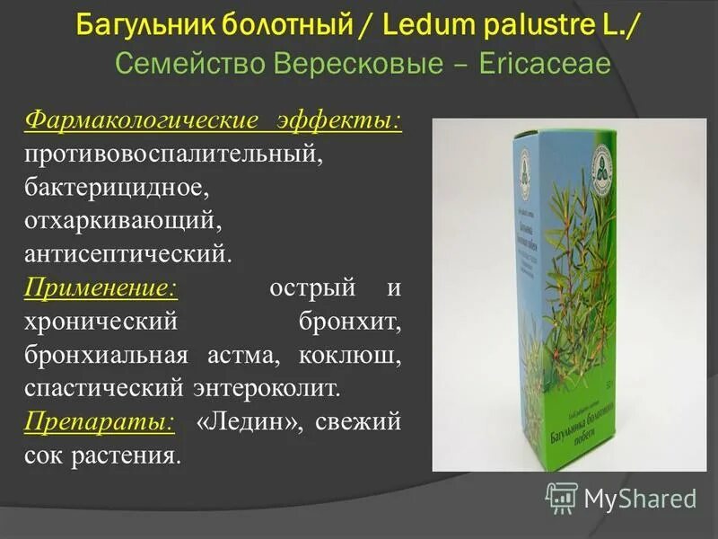 Отхаркивающее лекарственное сырье. Отхаркивающее сырье. Лекарственное сырье содержащее эфирные масла. Сок подорожника аптечный. Отхаркивающие средства содержащие эфирные масла.