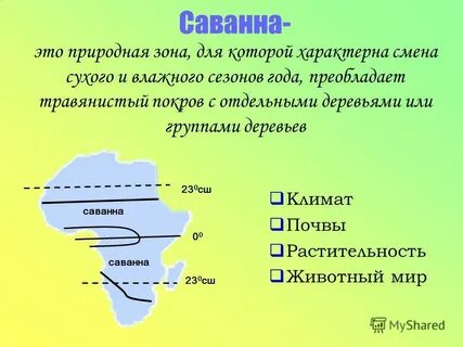 На суше преобладают