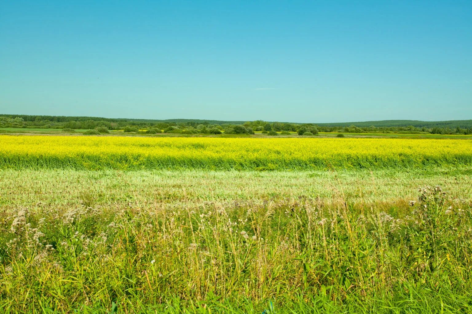 Оренбуржье фото. Оренбург степи. Поля Оренбургской области. Равнины поля Оренбурга. Родные просторы природа Оренбургского края.